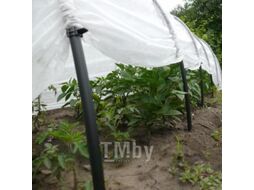Парник На зависть 8м