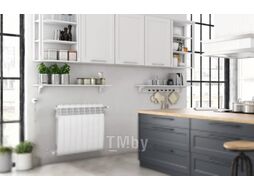 Радиатор биметаллический Royal Thermo BiLiner 500 (15 секций, с монтажным комплектом и угловыми кранами)