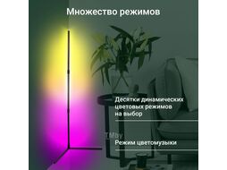 Умный светильник Digma FloorLight FL11 напол. черный (FL11)