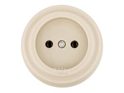Розетка 2П 10А 250В сл. кость «Виви» TDM SQ1820-1316