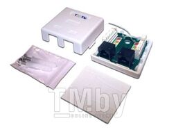 Настенная розетка, 2 порта RJ-45 категории 6, UTP, белая Lanmaster TWT-SM2-4545/6-WH