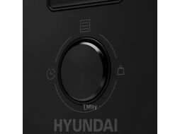 Микроволновая печь Hyundai HBW 2040 BG 20л. 800Вт черный (встраиваемая)