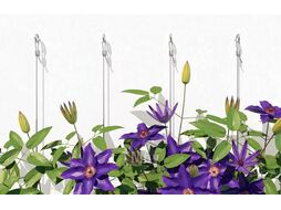 Шуруп с кольцом для строит. лесов Fischer GS 10х160 (упак. 20шт) (80929)