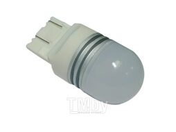 Светодиодная лампочка T088B T20/белый/(W3x16D) 6SMD 3030, 2 contact,10-30V коробка 2 шт AVS A40575S