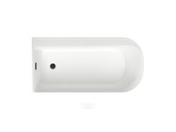 Отдельностоящая акриловая ванна Wellsee Camellia 236101003
