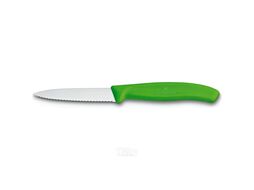 Нож кухонный Victorinox Swiss Classic 6.7636.L114 стальной для овощей лезв.80мм серрейт. заточка зеленый