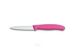 Нож кухонный Victorinox Swiss Classic 6.7636.L115 стальной для овощей лезв.80мм серрейт. заточка розовый