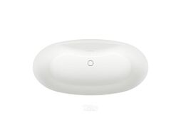 Отдельностоящая акриловая ванна Wellsee L’aster 236301002
