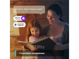 Умная диммируемая лампа TP-Link TAPO L520E