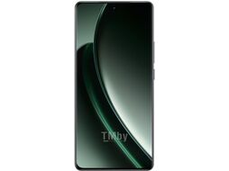 Смартфон Realme GT6 16GB/512GB зеленый туман (RMX3851)