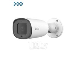 IP камера ZKTeco BL-855P48S-S7