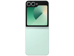 Смартфон SAMSUNG SM-F741BLGGCAU F741 256GB Mint