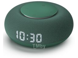 Умная колонка Капсула Мини (MRC02SG) VK MRC02 хвойный зеленый