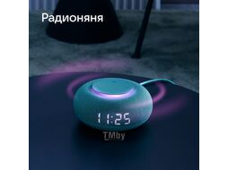 Умная колонка Капсула Мини (MRC02SG) VK MRC02 хвойный зеленый