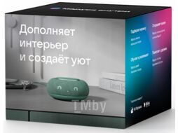 Умная колонка Капсула Мини (MRC02SG) VK MRC02 хвойный зеленый