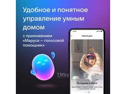 Умная колонка Капсула Мини (MRC02BK) VK MRC02 темный серый