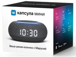 Умная колонка Капсула Мини (MRC02BK) VK MRC02 темный серый