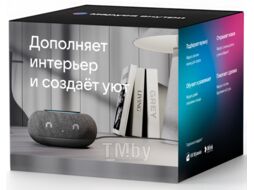 Умная колонка Капсула Мини (MRC02BK) VK MRC02 темный серый
