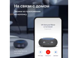 Умная колонка Капсула Мини (MRC02BK) VK MRC02 темный серый