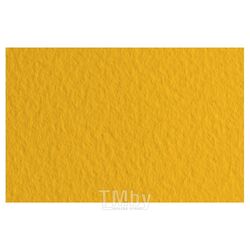 Бумага для пастели "Tiziano" А4, 160 г/м2, оранжевый Fabriano 21297121