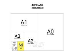 Пленки для ламинирования А4, КОМПЛЕКТ 100шт, 60 мкм, BRAUBERG 531452