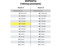 Пленки для ламинирования А4, КОМПЛЕКТ 100шт, 60 мкм, BRAUBERG 531452