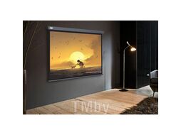 Экран Cactus CS-PSW-124X221-SG серый
