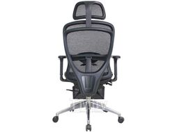 Кресло компьютерное EVOLUTION ERGO ELITE Black