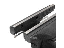 Тиски стальные поворотные с наковальней 10" (250мм) FORSTIME FT-6540110