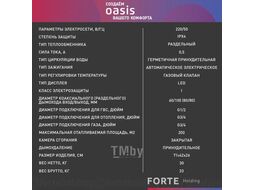 Котел газовый бытовой настенный "Oasis Eco" RE-20 (20кВт, 200м2)