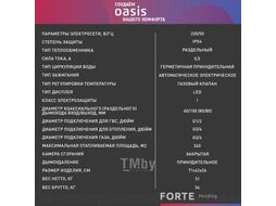 Котел газовый бытовой настенный "Oasis Eco" RE-24 (24кВт, 240м2)