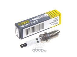 Свеча зажигания (4619) CIT C3 PEU 106 206 306 307 REN Clio Lag Meg Sce GANZ GIP24619