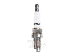 Свеча зажигания (4619) CIT C3 PEU 106 206 306 307 REN Clio Lag Meg Sce GANZ GIP24619