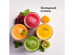 Соковыжималка шнековая 400Вт рез.сок.: 600мл. серебристый Red Solution RJ-914S