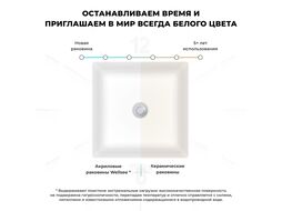 Напольная акриловая раковина Wellsee Pure BY Wellsee 230713000
