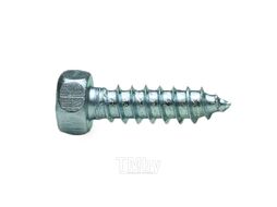Шуруп с шестигр. головкой SDH, 5.5х45, DIN7976, цинк (20шт) МОНТАЖ BM002395