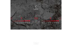 Индукционная варочная поверхность EVI 640-1 F DS серый LEX CHPE000007