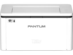 Принтер Pantum BP2300W
