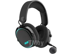 Наушники мониторные Acer ZL.HDSEE.009 черный OHR303