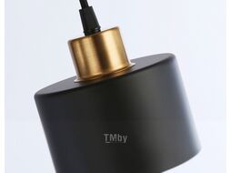 Потолочный светильник Ambrella Traditional / TR8113