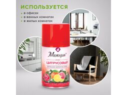 Сменный блок для освежителя воздуха Мелодия Цитрусовый (250мл)