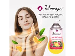 Сменный блок для освежителя воздуха Мелодия Цитрусовый (250мл)