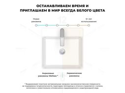 Напольная акриловая раковина Wellsee Pure BY Wellsee 230716000