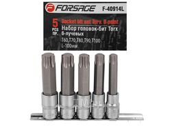 Набор головок-бит Torx 6-лучевых, 5 пр.(Т60,Т70,Т80,Т90,Т100; L-100мм), на планке Forsage F-40914L