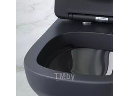 Унитаз подвесной с инсталляцией AM.PM X-Joy S C85A1700MBSC + Berges Novum 525 040000 + L5 040015