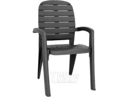 Стул пластиковый Ellastik Plast Прованс 58x46.5x90 (антрацит)
