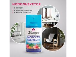 Сменный блок для освежителя воздуха Мелодия Морская свежесть (250мл)