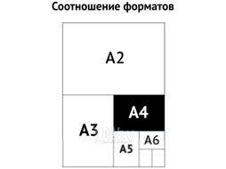 Коробка архивная OfficeSpace Standard / 264786 (бурый)