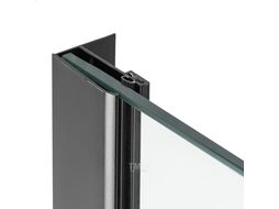 Душевая стенка Saniteco Walk-In SN-W6TB120 (120x200, прозрачное стекло, черный профиль)