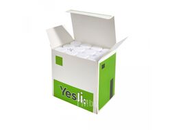 Клей карандаш, 21 г, 12 шт Yesли A021 (12)